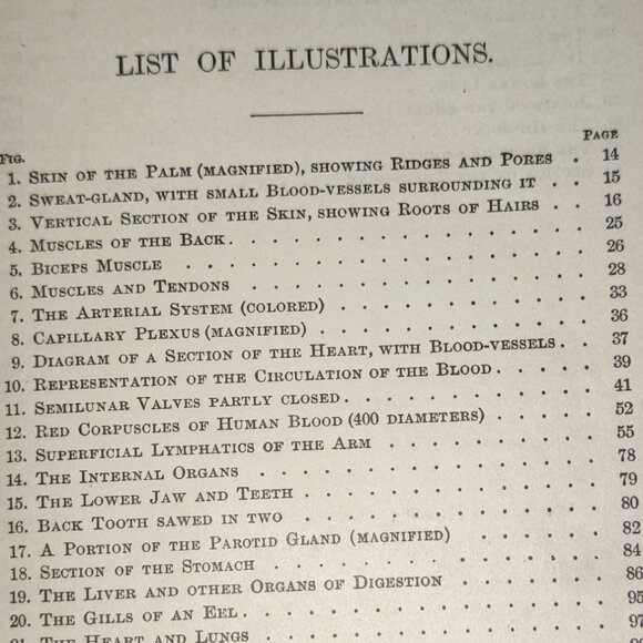 Antique -Primer of Physiology & Hygiene, W T Smith, 1885, 1st Edition Book. - Picture 3 of 15